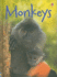 Monkeys (Usborne Beginners)