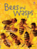 Bees and Wasps (Beginner's Nature)