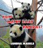 How Many Baby Pandas?
