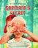 Garmann's Secret (Garmann, 3)