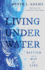 Living Under Water: Baptism as a Way of Life (the Calvin Institute of Christian Worship Liturgical Studies (Cicw))