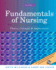 Fundamentals of Nursing, Volume 1: Theory, Concepts & Applications W/Cd (Review Copy)