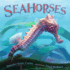 Seahorses