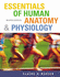 Essentials Human Anatomy Physi
