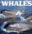 Whales