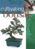 Cultivating Bonsai