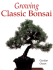 Growing Classic Bonsai