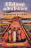 A Walk Through the New Testament: an Introduction for Catholics