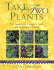 Take Two Plants