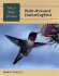 Wild Bird Guide: Ruby-Throated Hummingbird