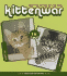 Kittenwar: May the Cutest Kitten Win!