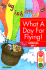 What a Day for Flying! : Bring-It-All-Together Book (Get Ready, Get Set, Read! /Set 1)