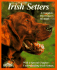 Irish Setters (Complete Pet Owner's Manuals)