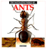 The Fascinating World of Ants