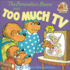 The Berenstain Bears and Too Much Tv