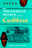 The Indigenous People of the Caribbean (Florida Museum of Natural History: Ripley P. Bullen Series)