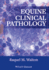 Equine Clinical Pathology (Hb 2014)