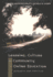 Learning, Culture and Community in Online Education: Research and Practice (Digital Formations, V. 21. )