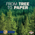 From Tree to Paper (Start to Finish)