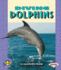 Diving Dolphins