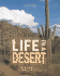 Life in a Desert