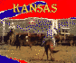 Kansas (Hello Usa Series)