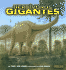 Herbivoros Gigantes / Giant Plant-Eating Dinosaurs (Conoce a Los Dinosaurios) (Spanish Edition)