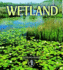 Wetland (First Step Nonfiction Habitats)