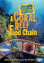 A Coral Reef Food Chain: a Who-Eats-What Adventure in the Caribbean Sea (Follow That Food Chain)