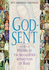 God-Sent: a History of the Accredited Apparitions of Mary