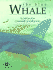 The Blue Whale