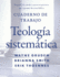 Systematic Theology Workbook Format: Paperback