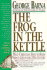 The Frog in the Kettle