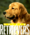 Golden Retrievers (Little Books)