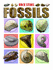 Fossils (Canadian Nature Guides)