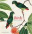 Birds: the Art of Ornithology (Rizzoli Classics)
