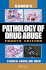 Karch's Pathology of Drug Abuse, Fourth Edition