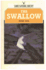 The Swallow (Shire Natural History)