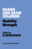 Beams and Beam Columns: Stability and Strength