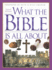 What the Bible is All About: Visual Edition