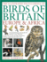 The Illustrated Encyclopedia of Birds of Britain, Europe & Africa: a Comprehensive Visual Guide and Identifier to Over 550 Birds