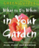 What to Do When in Your Garden: Plan, Plant and Maintain (Green Guides)