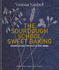 The Sweet Sourdough School