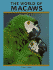 The World of Macawsilersers