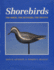 Shorebirds: the Birds, the Hunters, the Decoys