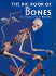 The Big Book of Bones an Introduction to Skeletons