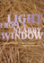 Light From a Nearby Window: Contemporary Mexican Poetry