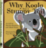 Why Koala Has a Stumpy Tail (Storycove: a World of Stories)