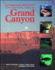 The Controlled Flood in Grand Canyon (Geophysical Monograph Series)