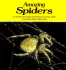 Amazing Spiders